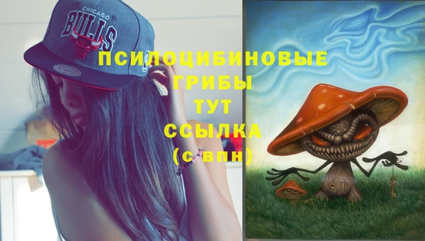 прущая мука Алзамай