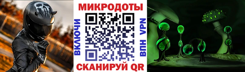 Псилоцибиновые грибы Psilocybine cubensis  Ртищево 